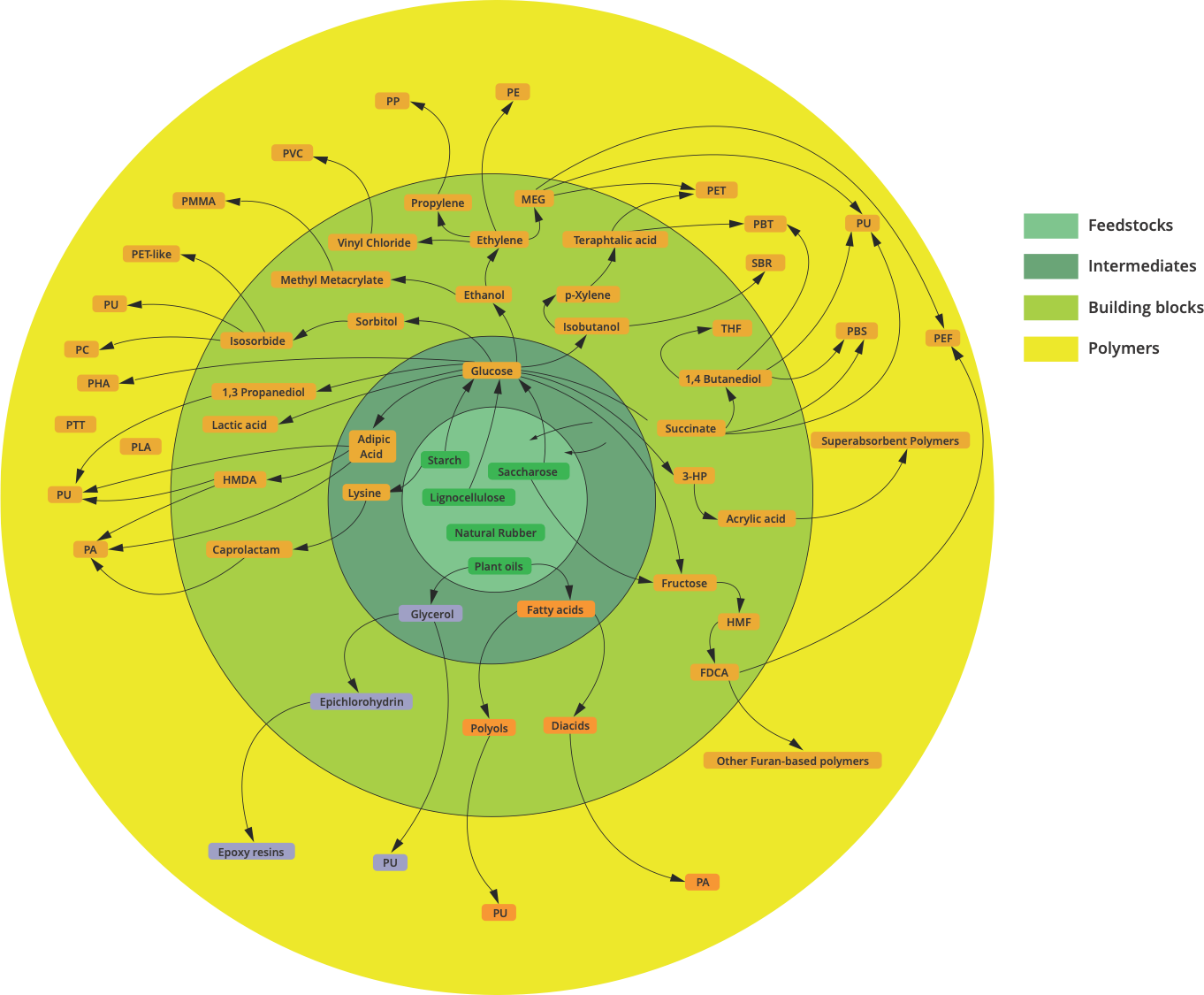 Bio-based polymers from biomass map classification